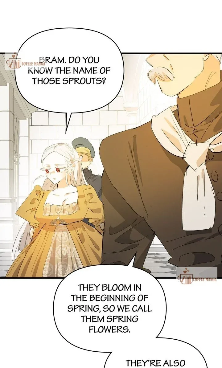 If You Want a Fake Sister Chapter 43 page 14