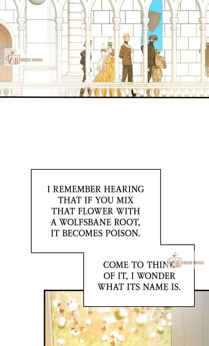 If You Want a Fake Sister Chapter 43 page 12