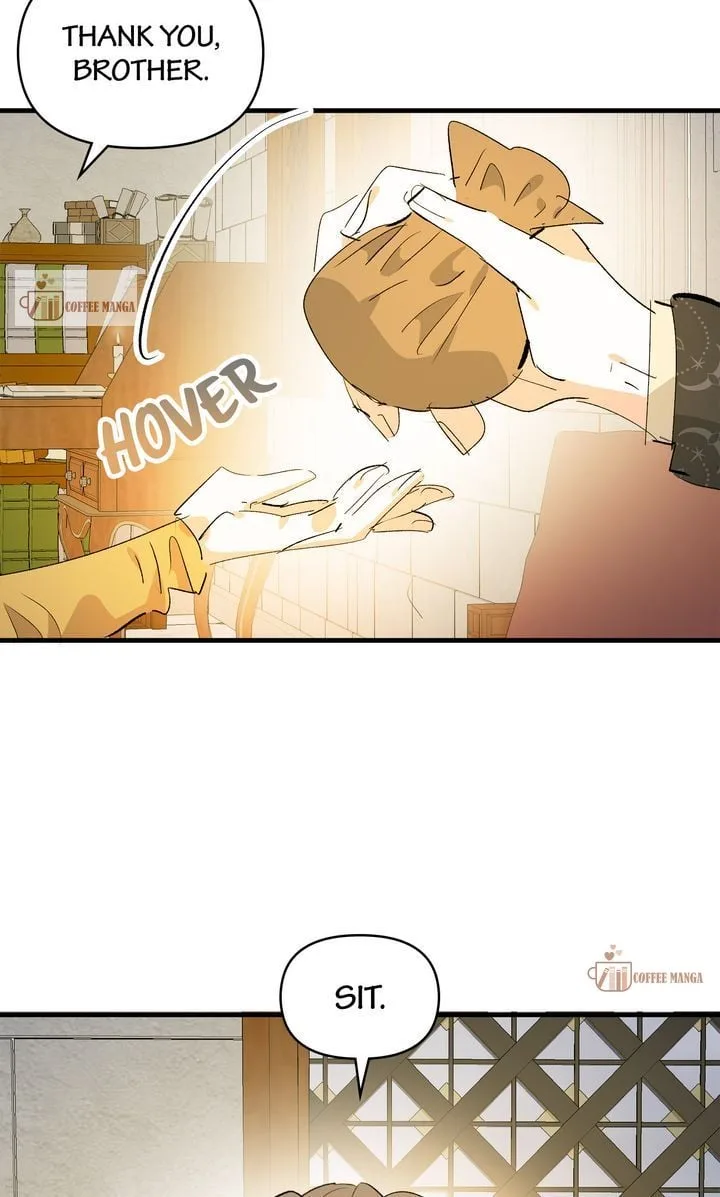 If You Want a Fake Sister Chapter 42 page 43