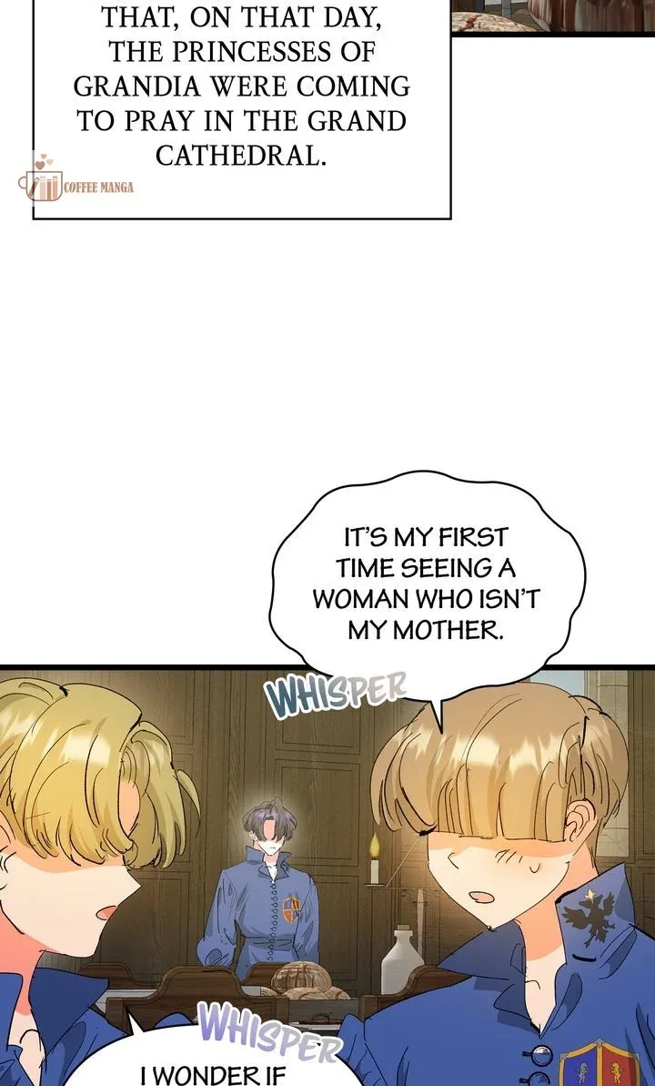 If You Want a Fake Sister Chapter 46 page 15