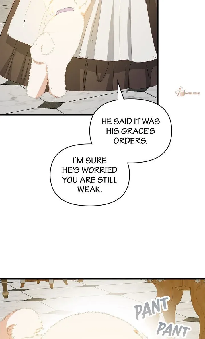 If You Want a Fake Sister Chapter 57 page 67