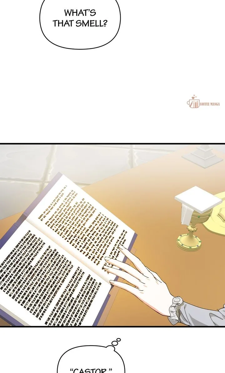 If You Want a Fake Sister Chapter 77 page 13