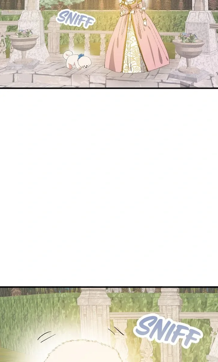 If You Want a Fake Sister Chapter 78 page 65