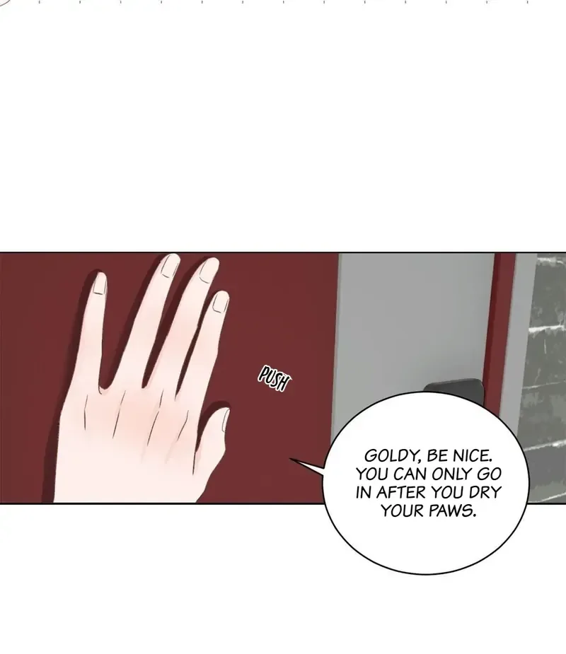 In the Name of Love Chapter 23 page 35