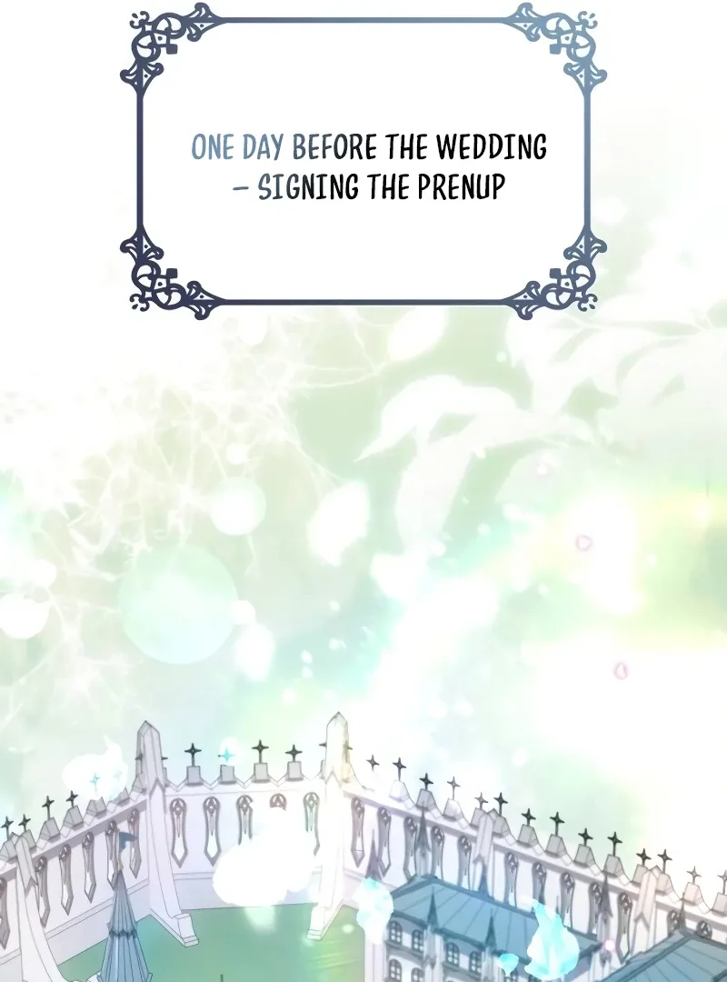 In the Name of Special Contract Marriage Chapter 12 page 100