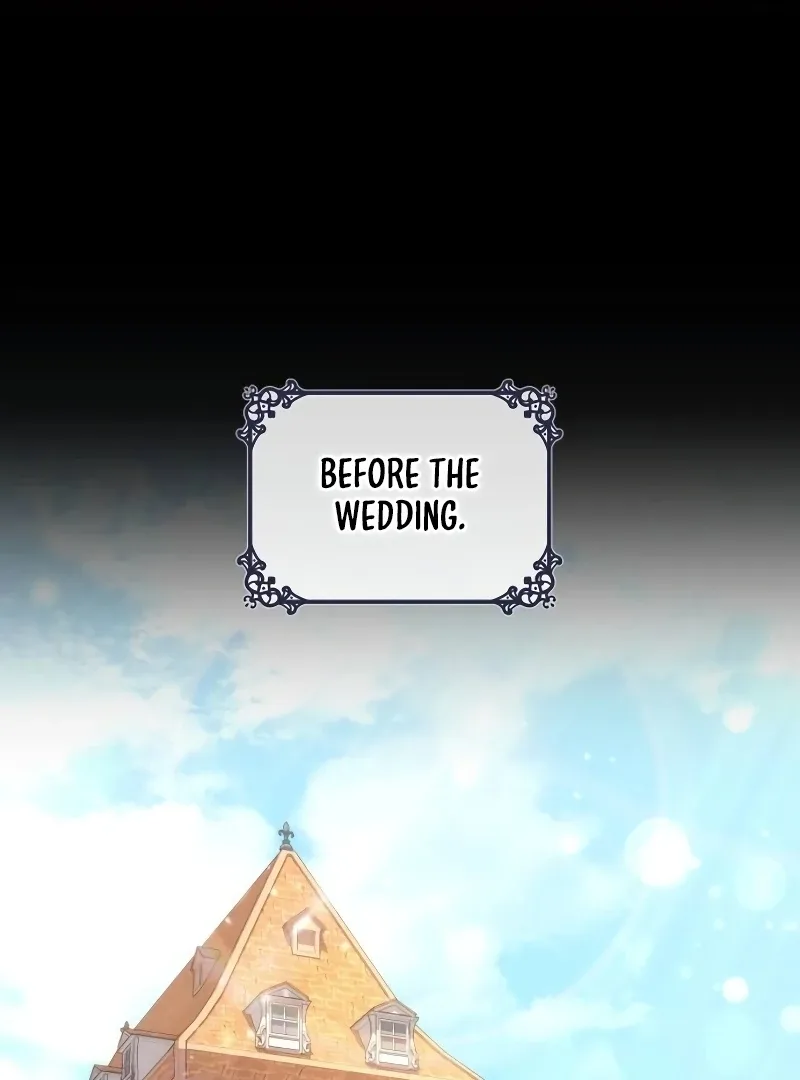 In the Name of Special Contract Marriage Chapter 15 page 3
