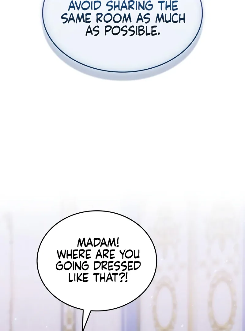 In the Name of Special Contract Marriage Chapter 16 page 66