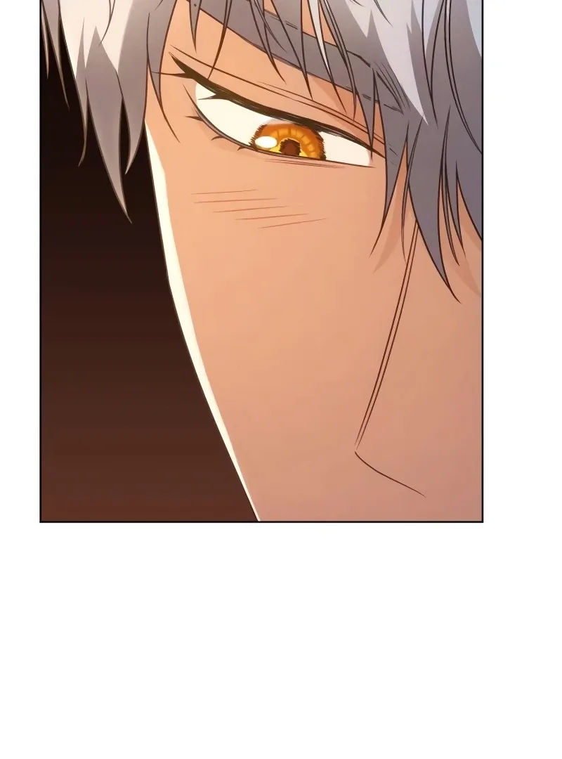 In the Name of Special Contract Marriage Chapter 15 page 124