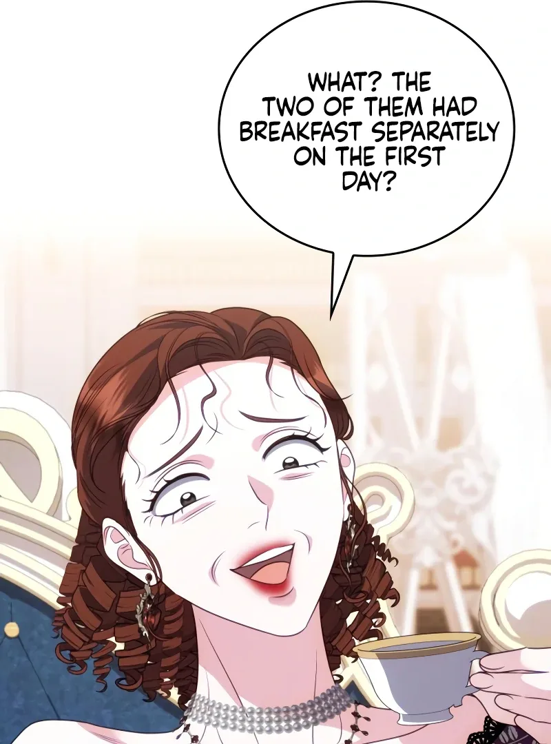 In the Name of Special Contract Marriage Chapter 16 page 149