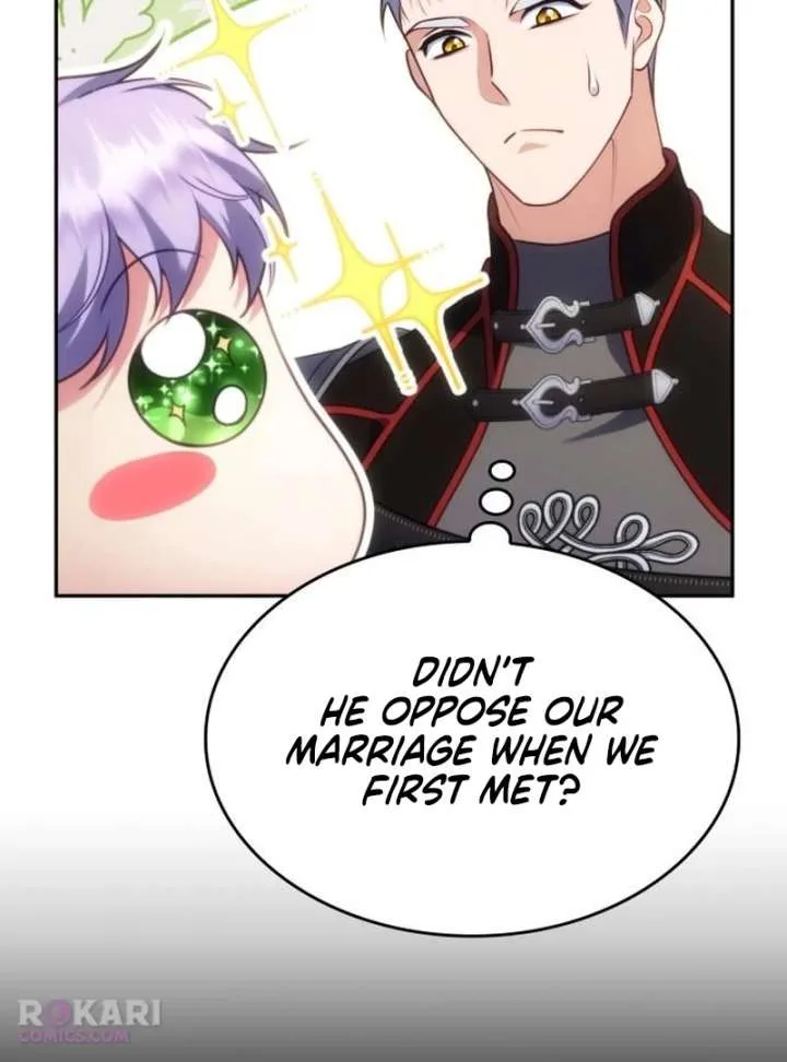 In the Name of Special Contract Marriage Chapter 33 page 26