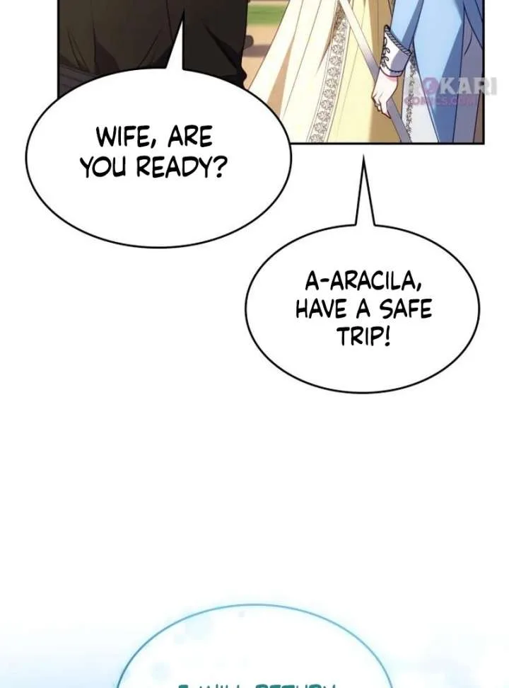 In the Name of Special Contract Marriage Chapter 33 page 49