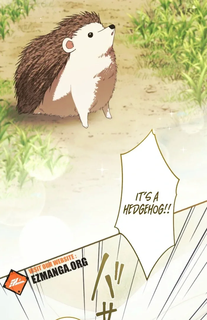 In This Life, I Will Charm My Ruthless Duke Husband Chapter 13 page 62