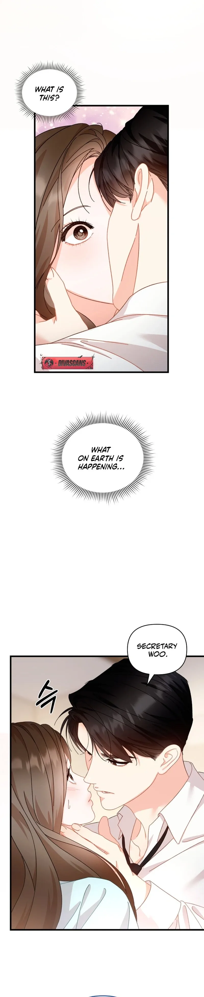 Incentive Chapter 2 page 25