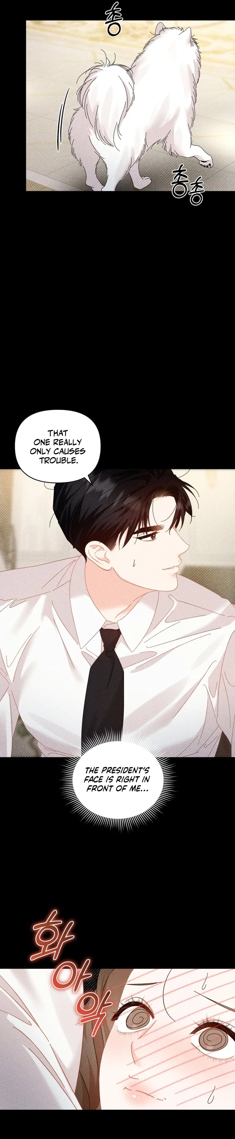 Incentive Chapter 4 page 26