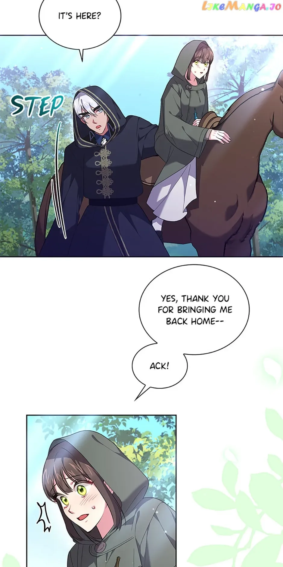 Iraine’s Circumstances Chapter 49 page 42