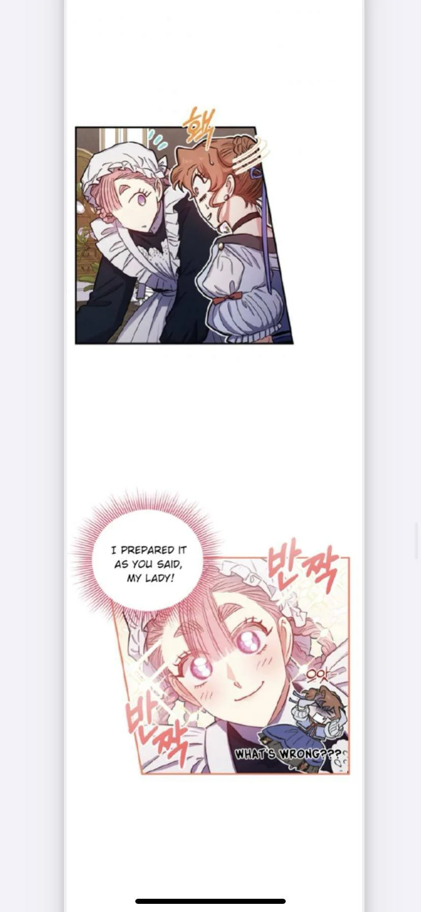 Is It a Fortune or Is It a Woe? Chapter 38 page 28