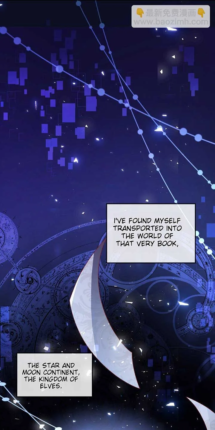 It Is Said That I Am a Fairy Princess Chapter 1 page 49