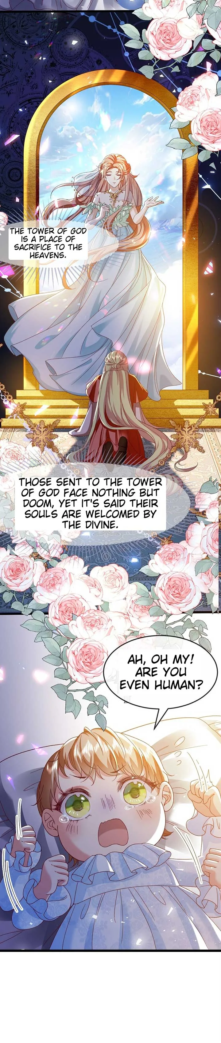 It Is Said That I Am a Fairy Princess Chapter 2 page 19