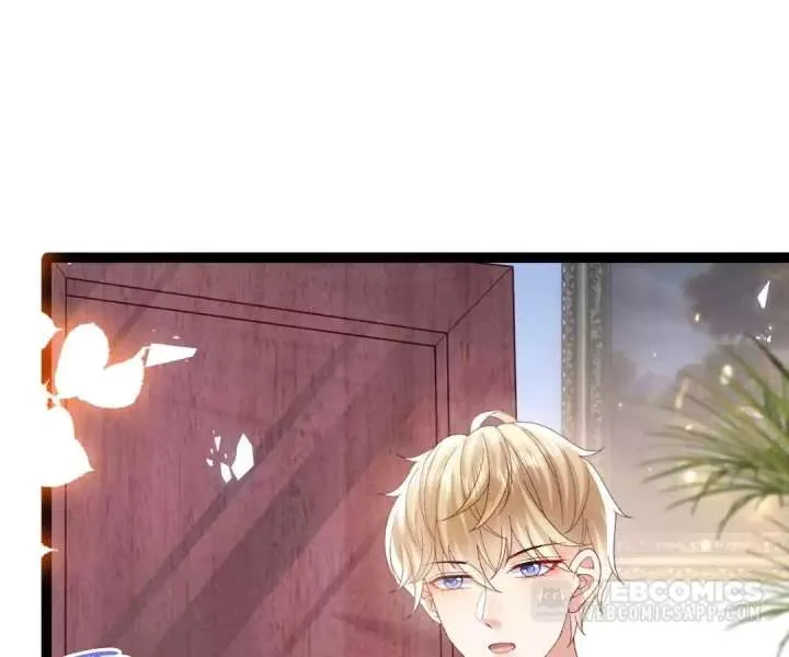 It Is Said That I Am a Fairy Princess Chapter 17 page 60