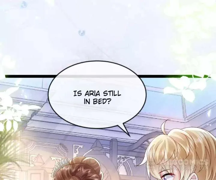 It Is Said That I Am a Fairy Princess Chapter 17 page 20