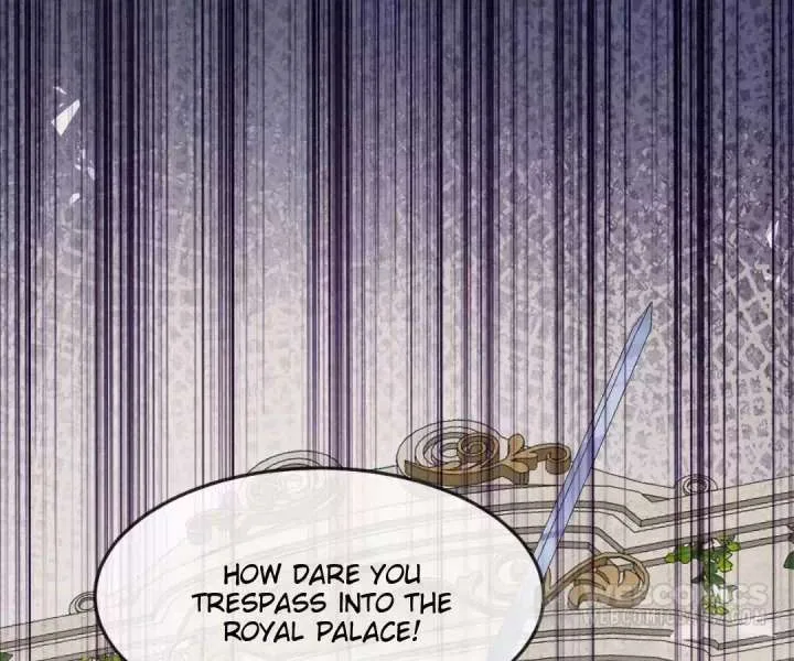 It Is Said That I Am a Fairy Princess Chapter 16 page 20