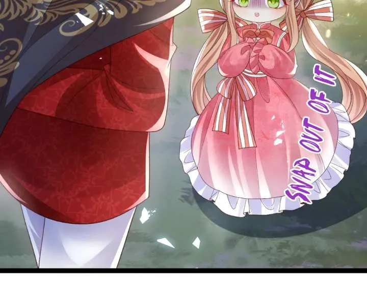 It Is Said That I Am a Fairy Princess Chapter 16 page 41
