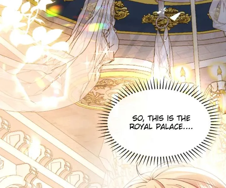 It Is Said That I Am a Fairy Princess Chapter 14 page 91