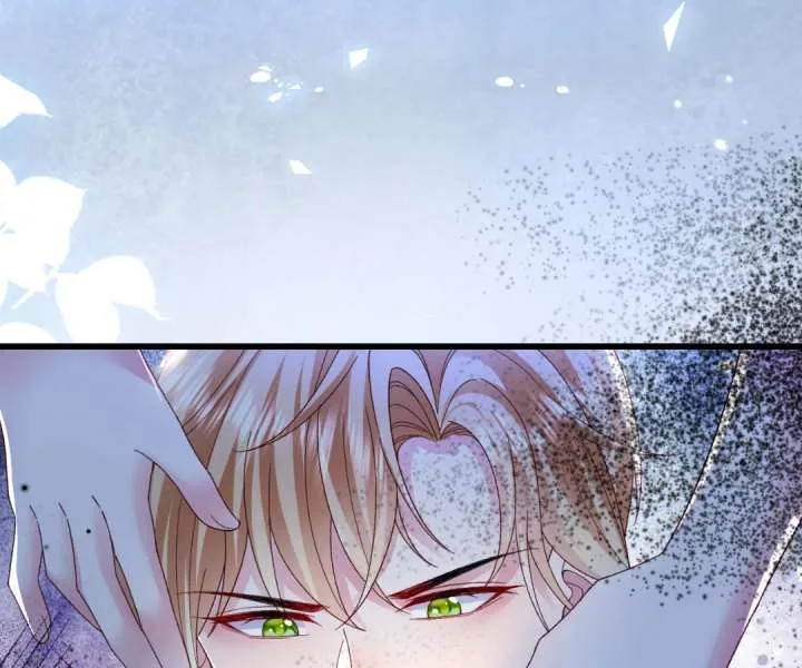 It Is Said That I Am a Fairy Princess Chapter 19 page 45