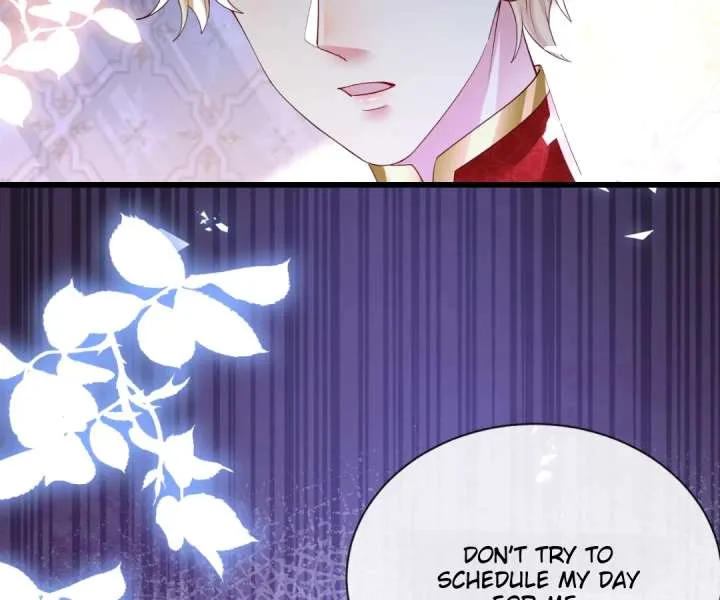 It Is Said That I Am a Fairy Princess Chapter 21 page 16