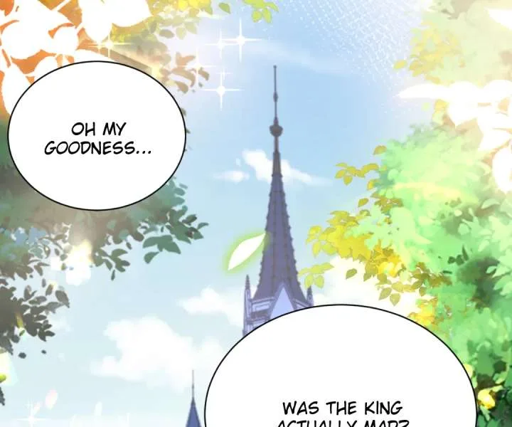 It Is Said That I Am a Fairy Princess Chapter 20 page 3