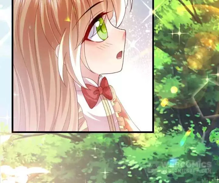It Is Said That I Am a Fairy Princess Chapter 20 page 60