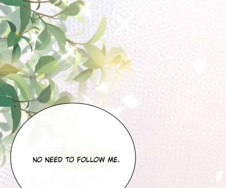 It Is Said That I Am a Fairy Princess Chapter 22 page 47