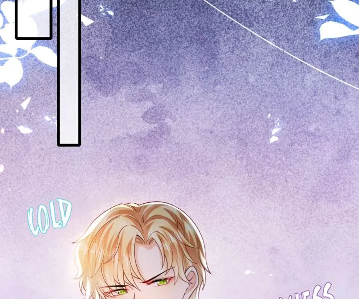 It Is Said That I Am a Fairy Princess Chapter 23 page 3