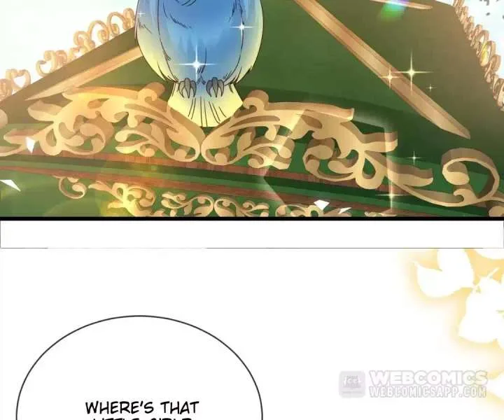 It Is Said That I Am a Fairy Princess Chapter 25 page 28