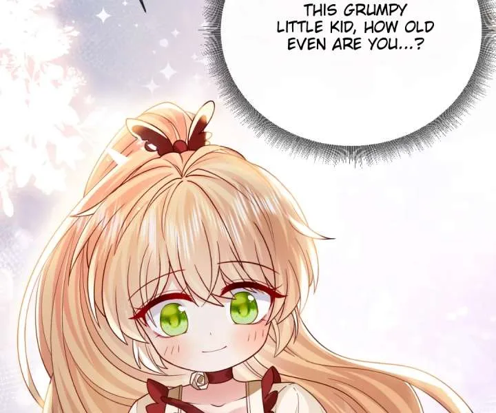 It Is Said That I Am a Fairy Princess Chapter 29 page 55
