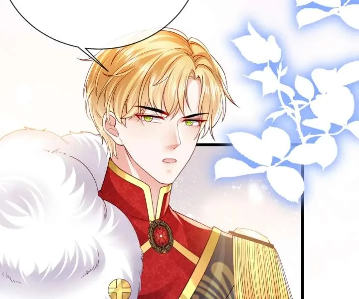 It Is Said That I Am a Fairy Princess Chapter 28 page 27