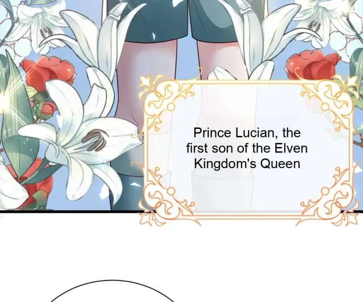 It Is Said That I Am a Fairy Princess Chapter 31 page 41