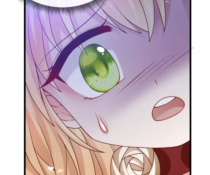It Is Said That I Am a Fairy Princess Chapter 30 page 47