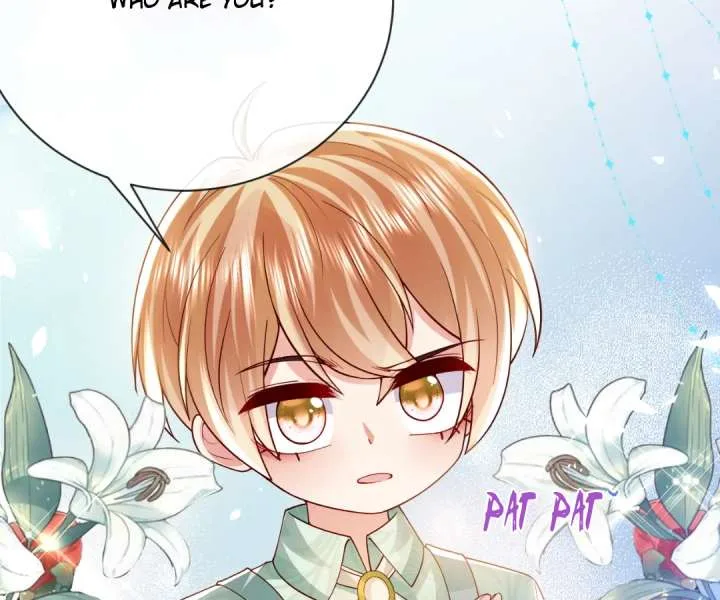 It Is Said That I Am a Fairy Princess Chapter 31 page 39