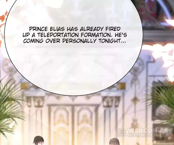 It Is Said That I Am a Fairy Princess Chapter 30 page 84