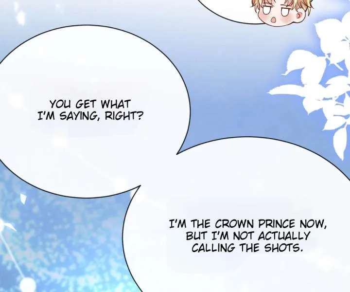 It Is Said That I Am a Fairy Princess Chapter 33 page 48