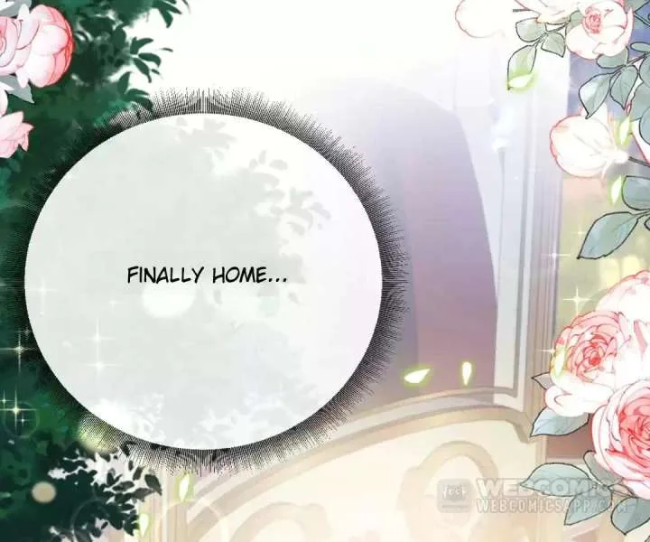 It Is Said That I Am a Fairy Princess Chapter 34 page 4