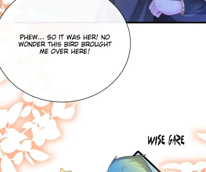 It Is Said That I Am a Fairy Princess Chapter 34 page 17