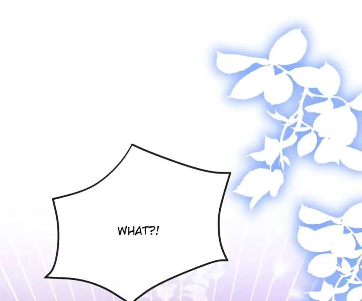 It Is Said That I Am a Fairy Princess Chapter 33 page 2