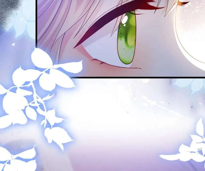 It Is Said That I Am a Fairy Princess Chapter 33 page 37