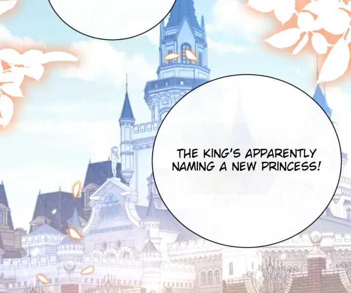 It Is Said That I Am a Fairy Princess Chapter 40 page 3