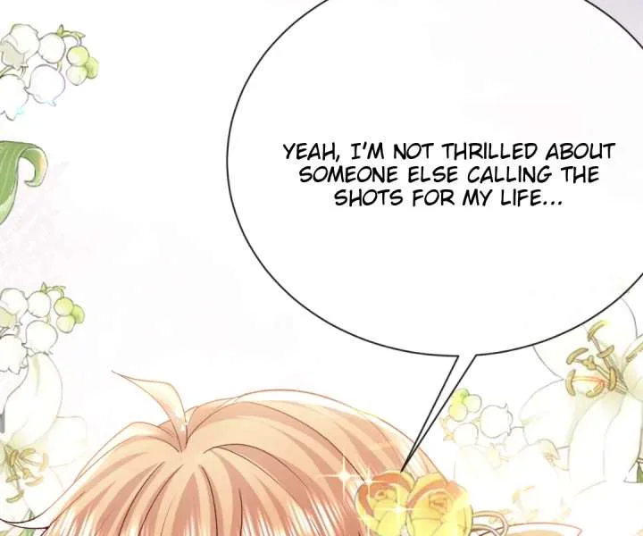 It Is Said That I Am a Fairy Princess Chapter 38 page 62