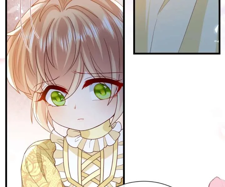 It Is Said That I Am a Fairy Princess Chapter 42 page 63