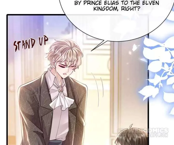 It Is Said That I Am a Fairy Princess Chapter 37 page 68