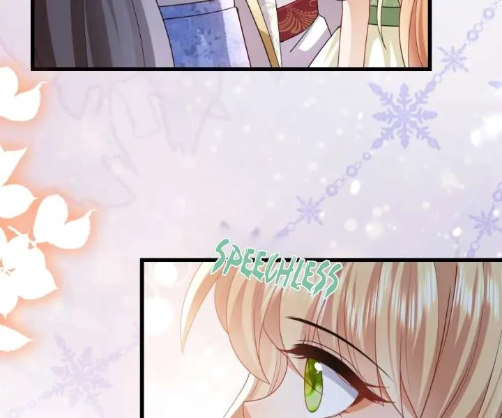 It Is Said That I Am a Fairy Princess Chapter 43 page 40